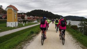 S kolesom do Brežic 2018 (45)